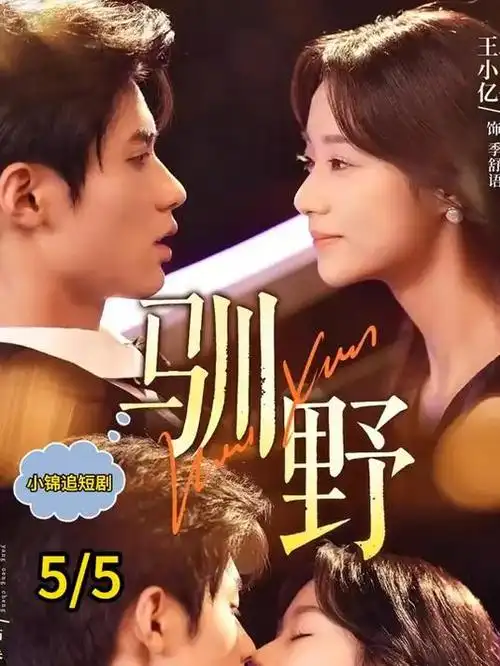 黄昏光影 日剧在线观看